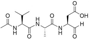 Ac-VAD-CHO - Echelon Biosciences
