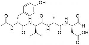 Caspase 1 (ICE) Inhibitor, Ac-YVAD-CHO (CAS 143313-51-3) - Echelon Biosciences