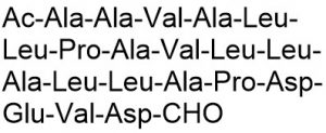 Cell Permeable Caspase 3 Inhibitor - Echelon Biosciences