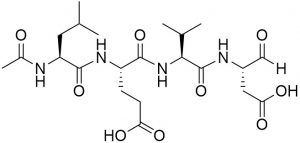 Ac-Leu-Glu-Val-Asp-CHO (Caspase 4 (ICH-2) Inhibitor) - Echelon Biosciences
