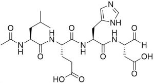 Ac-Leu-Glu-His-Asp-CHO (Caspase 9 Inhibitor) - Echelon Biosciences