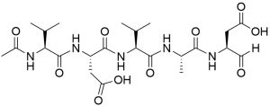 Ac-Val-Asp-Val-Ala-Asp-CHO (Caspase 2 (ICH-1) Inhibitor) - Echelon Biosciences