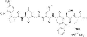 Dnp-Pro-Leu-Gly-Met-Trp-Ser-Arg-OH (MMP 2 / MMP 9 Substrate) - Echelon Biosciences