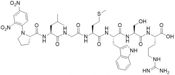 Dnp-Pro-Leu-Gly-Met-Trp-Ser-Arg-OH (MMP 2 / MMP 9 Substrate) - Echelon Biosciences