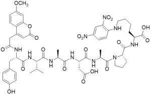 Mca-Tyr-Val-Ala-Asp-Ala-Pro-Lys(DNP)-OH (Caspase 1 Substrate) - Echelon Biosciences