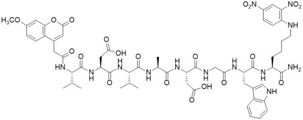 Mca-Val-Asp-Val-Ala-Asp-Gly-Trp-Lys(DNP)-NH2 (Caspase 2 (ICH-1) Substrate ) - Echelon Biosciences