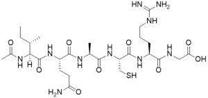 Ac-Ile-Gln-Ala-Cys-Arg-Gly-OH (Caspase Active Site Peptide) - Echelon Biosciences