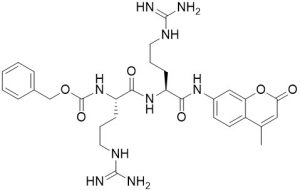 Cathepsin B Substrate - Echelon Bioscieces