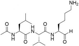 Cathepsin B Inhibitor - Echelon Biosciecnes