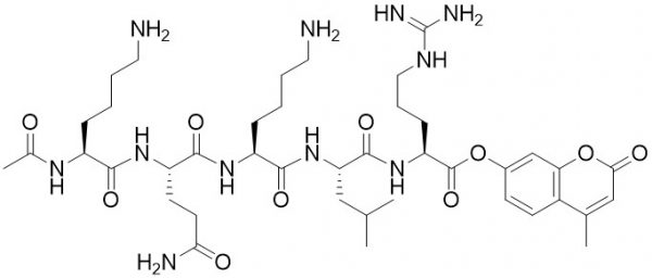 Cathepsin S Substrate, fluorogenic - Echelon Biosciences