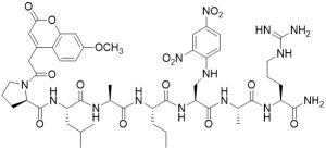 MCA-Pro-Leu-Ala-Nva-Dap(DNP)-Ala-Arg-NH2 (MMP-2 Substrate) - Echelon Biosciences