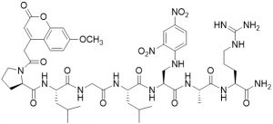 MCA-Pro-Leu-Gly-Leu-Dap(DNP)-Ala-Arg-NH2 (MMP Substrate) - Echelon Biosciences