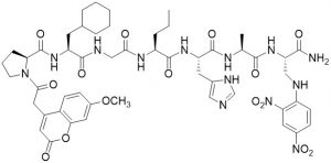 MCA-Pro-Cha-Gly-Nva-His-Ala-Dap(DNP)-NH2 (MMP-13 Substrate) - Echelon Biosciences