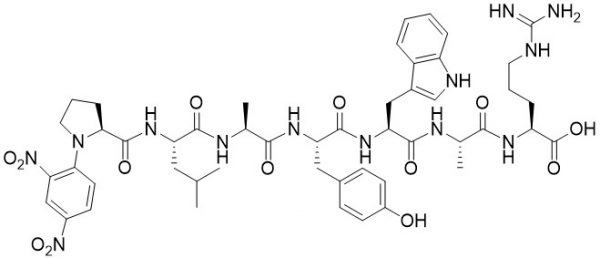 Dnp-Pro-Leu-Ala-Tyr-Trp-Ala-Arg-OH (MMP-8 Substrate) - Echelon biosciences