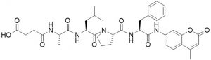 PPIase Substrate - Echelon Biosciences
