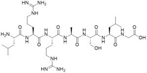 Kemptide (Phosphate Acceptor Peptide) - Echelon Biosciences