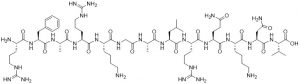 Protein Kinase C (19-31) - Echelon Biosciences