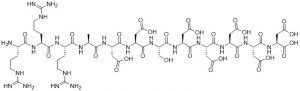 Casein Kinase Substrate - Echelon Biosciences