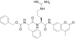 Z-Phe-Arg-AMC (Kallikrein substrate) - Echelon Biosciences