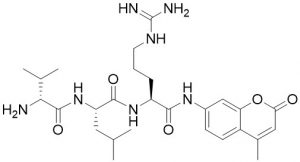 D-Val-Leu-Arg-AMC (Kallikrein Substrate) - Echelon Biosciences