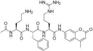 Ac-Orn-Phe-Arg-AMC (Tryptase Substrate, fluorogenic) - Echelon Biosciences