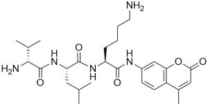 D-Val-Leu-Lys-AMC (Plasmin Substrate, fluorogenic) - Echelon Biosciences