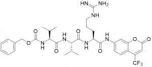 Z-Val-Val-Arg-AFC - Echelon Biosciences