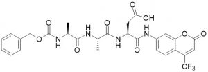 Z-Ala-Ala-Asp-AFC - Echelon Biosciences
