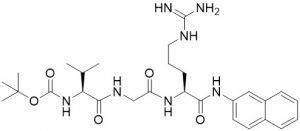 Boc-Val-Gly-Arg-bNA - Echelon Biosciences