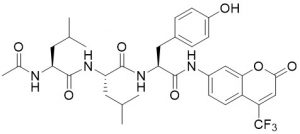 Ac-Leu-Leu-Tyr-AFC - Echelon Biosciences