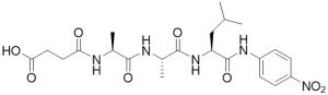 Suc-Ala-Ala-Leu-pNA - Echelon Biosciences