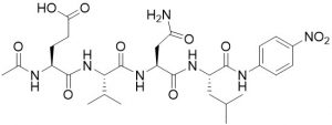 Ac-Glu-Val-Asn-Leu-pNA - Echelon Biosciences