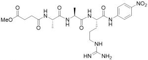 Methoxysuccinyl-Ala-Ala-Arg-pNA - Echelon Biosciences