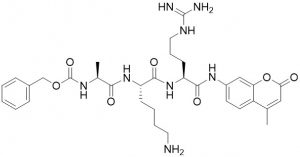 Z-Ala-Lys-Arg-AMC - Echelon Biosciences