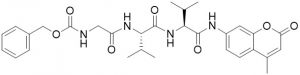 Z-Gly-Val-Val-AMC - Echelon Biosciences