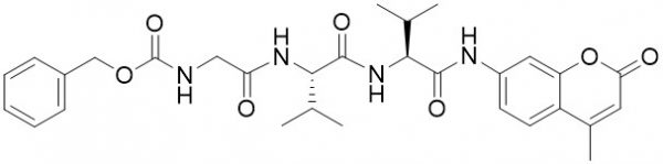 Z-Gly-Val-Val-AMC - Echelon Biosciences