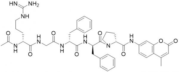 Ac-Arg-Gly-Phe-Phe-Pro-AMC - Echelon Biosciences
