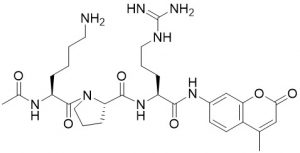 Ac-Lys-Pro-Arg-AMC - Echelon Biosciences