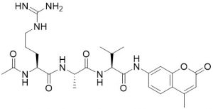 Ac-Arg-Ala-Val-AMC - Echelon Biosciences
