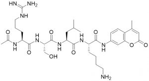 Ac-Arg-Ser-Leu-Lys-AMC - Echelon Biosciences