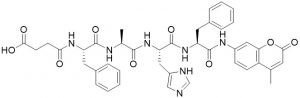 Suc-Phe-Ala-His-Phe-AMC (fluorogenic protease substrate) - Echelon Biosciences