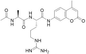 Ac-Ala-Arg-AMC - Echelon Biosciences