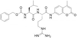 Z-Leu-Arg-AMC - Echelon Biosciences