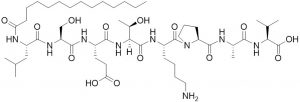 PKC(e) Translocation Inhibitor - negative control - Echelon Biosciences