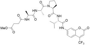 MeOSuc-Ala-Ala-Pro-Val-AFC (Pancreatic Leukocyte Elastase Substrate - Echelon Biosciences