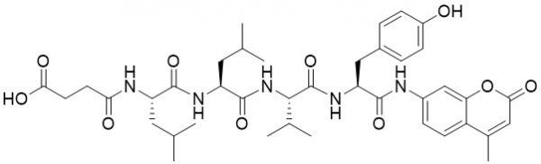 Suc-Leu-Leu-Val-Tyr-AMC (Proteosome Substrate) - Echelon Biosciences