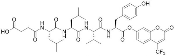 Suc-Leu-Leu-Val-Tyr-AFC (Chymotrypsin like Enzyme Substrate, fluorogenic) - Echelon Biosciences