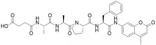Suc-Ala-Ala-Pro-Phe-AMC - Echelon Biosciences