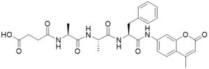 Suc-Ala-Ala-Phe-AMC - Echelon Biosciences