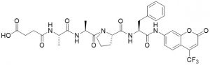 Suc-Ala-Ala-Pro-Phe-AFC - Echelon Biosciences
